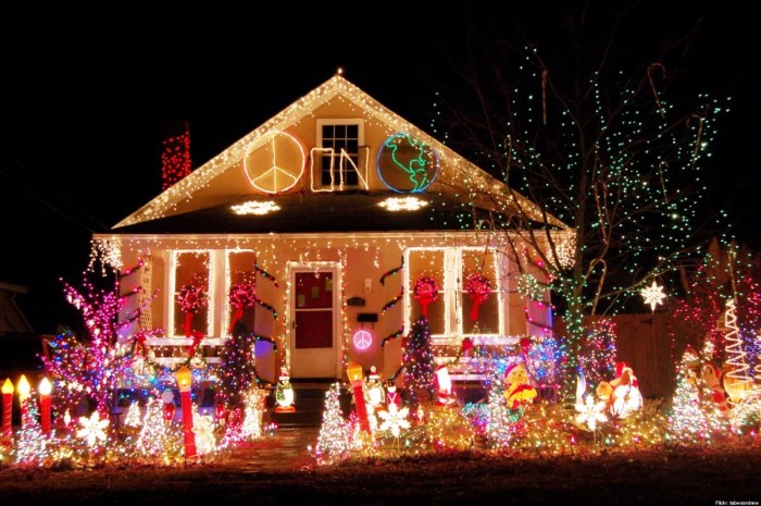 Christmas decor and lights