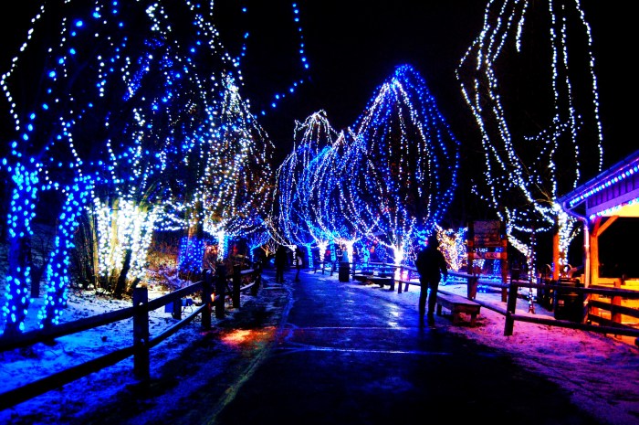 Christmas decor string lights